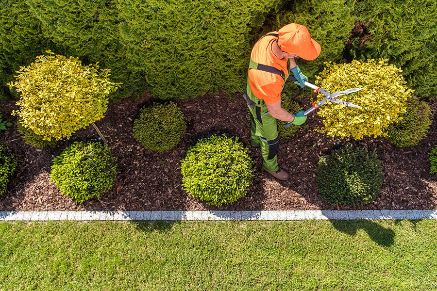 Facility Maintenance Services, Landscaping And Maintenance Services